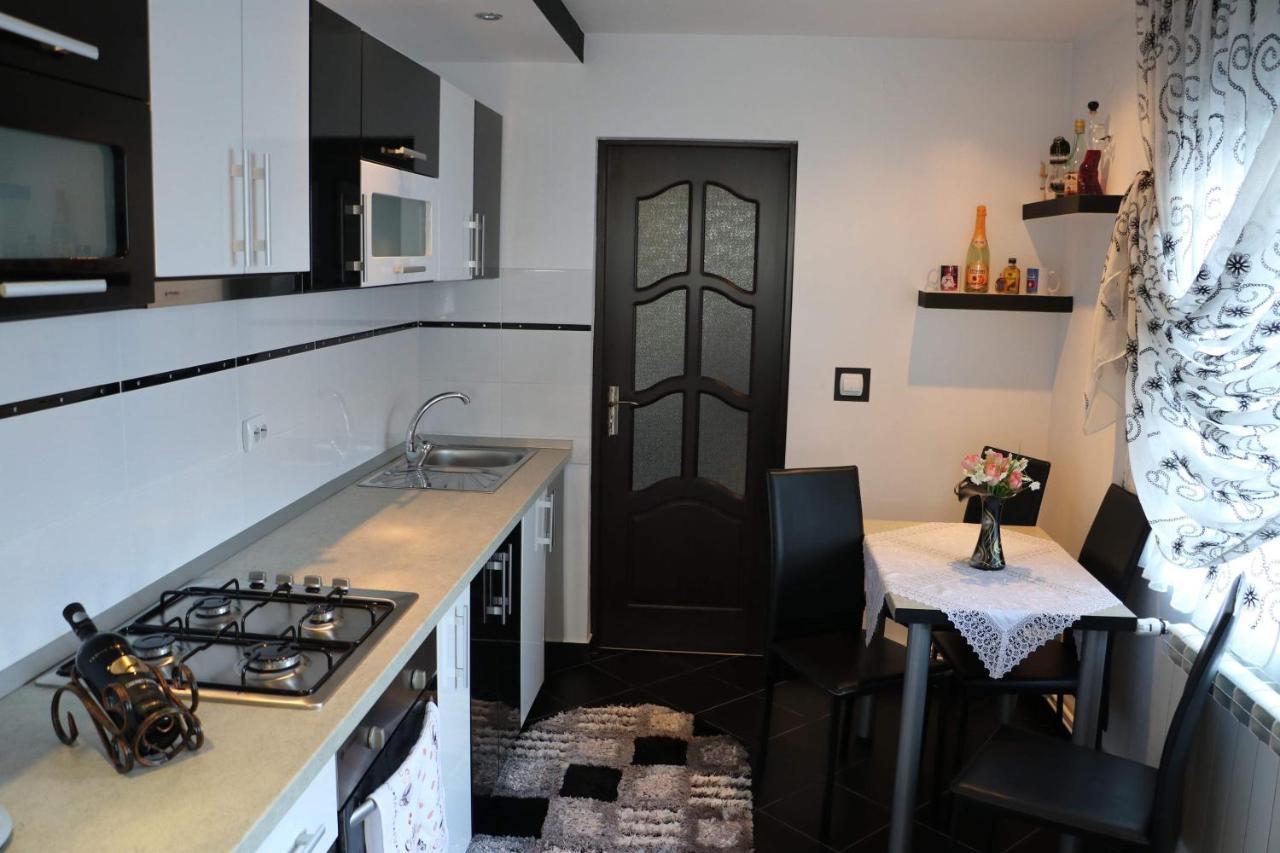 Hotel Casa Daiana Moisei Zewnętrze zdjęcie